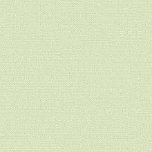 Зелёные обои в зал Alessandro Allori Bruni 1003-13 RBN