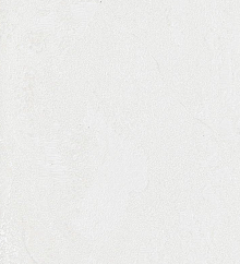 Обои под старые стены Bernardo Bartalucci Gaga  84284-9